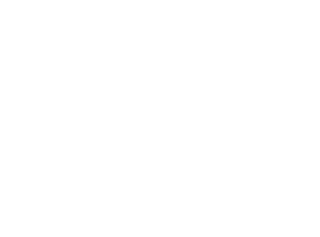 Street Food